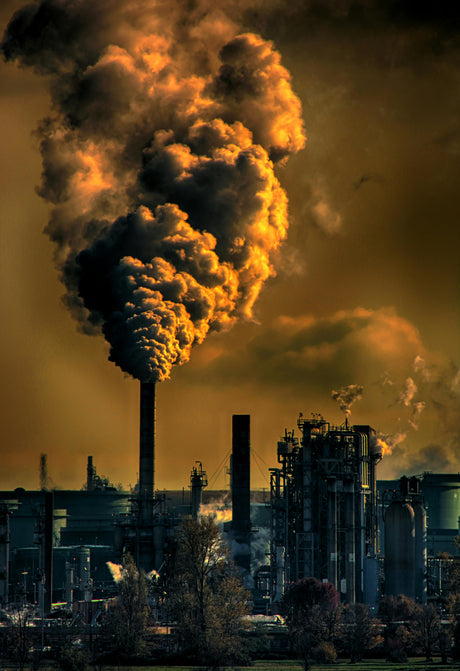 Chemicals processing plant 