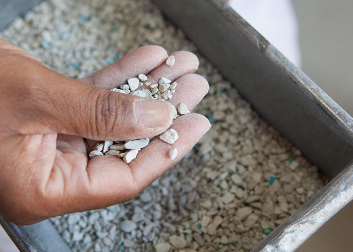 Hand holding coarse granules of a clay sorbent material over a metal container